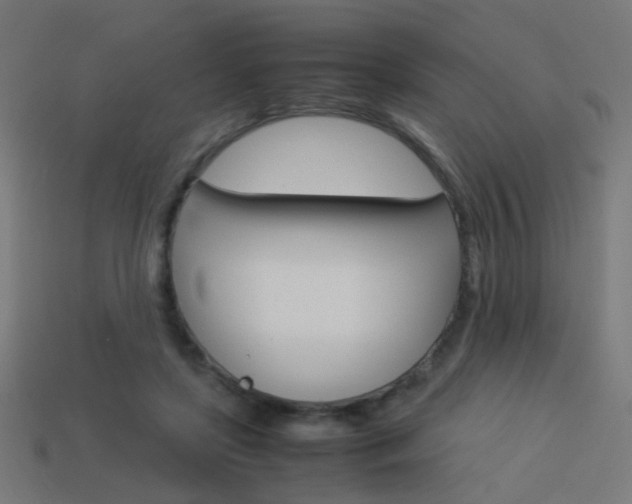 X0000114150451200910081116