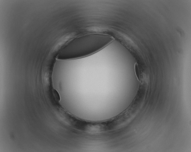 X0000114150452200910081116