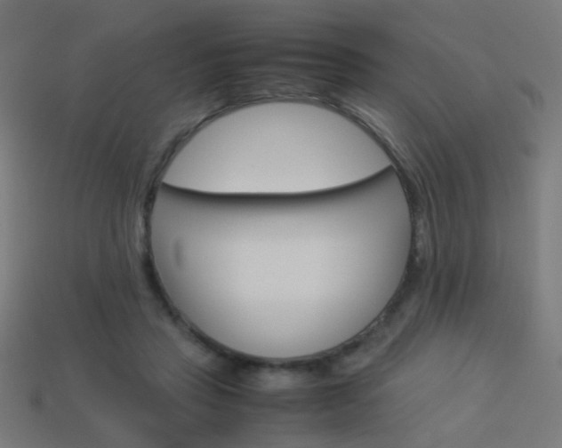 X0000114150453200910081116