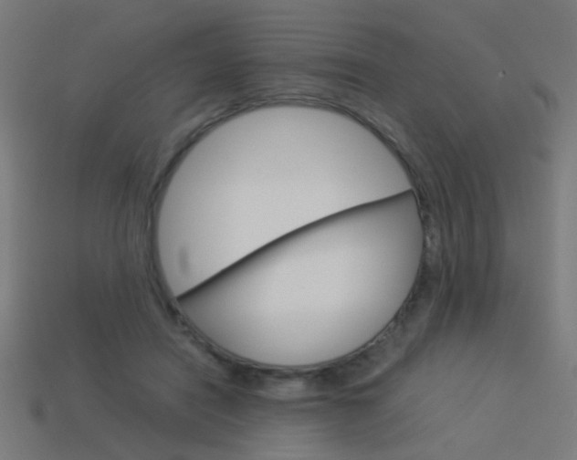 X0000114150454200910081116