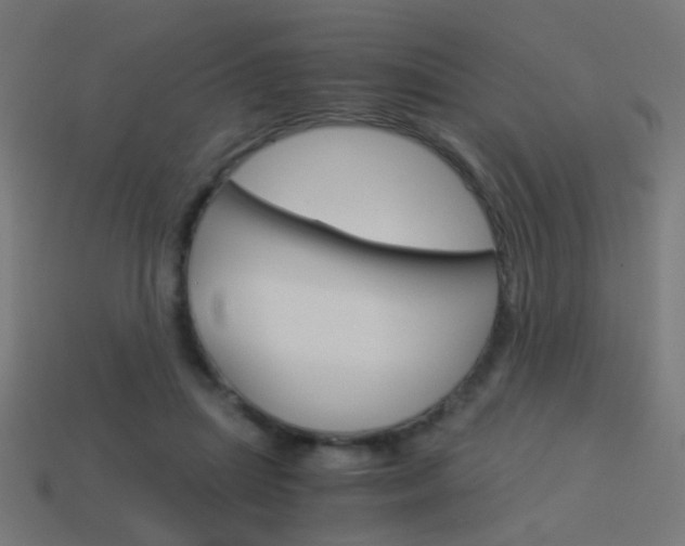 X0000114150455200910081116