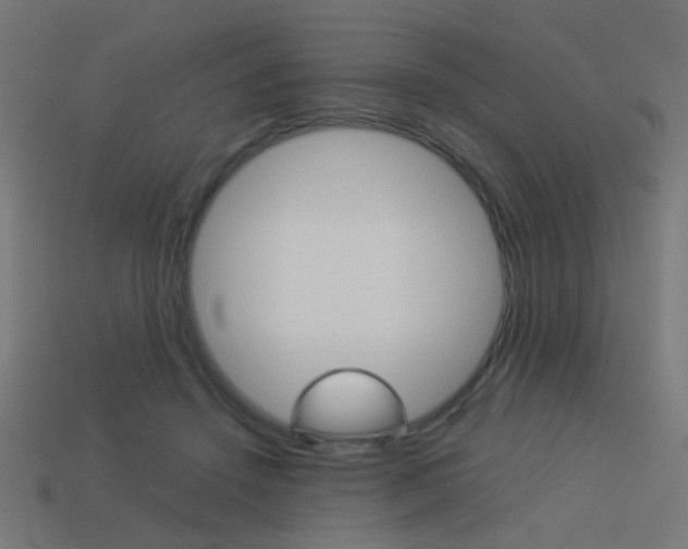X0000114150456200910081116