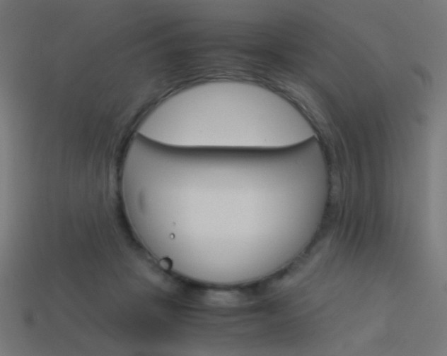 X0000114150457200910081116