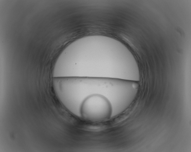 X0000114150459200910081116