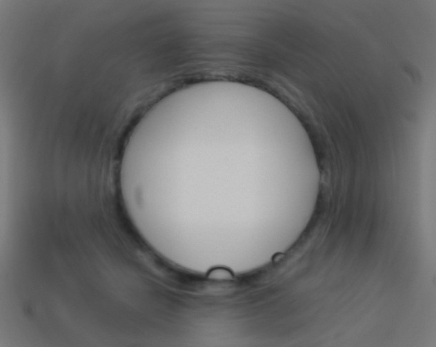 X0000114150462200910081116