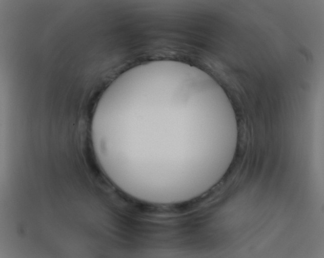 X0000114150463200910081116