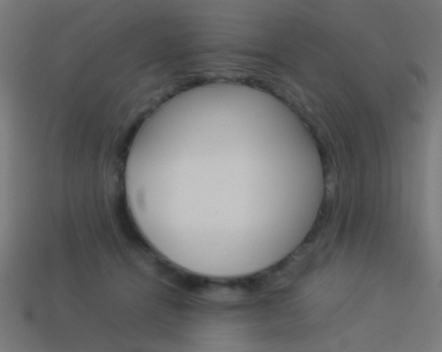 X0000114150464200910081116