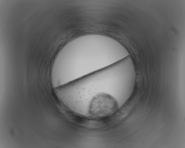 X0000114150466200910081116