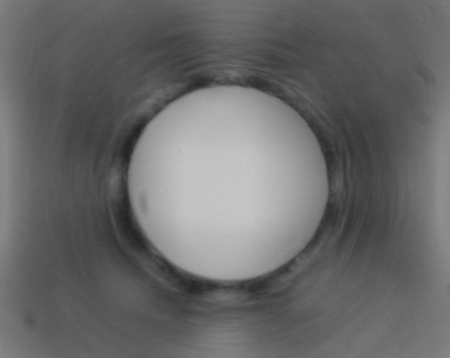 X0000114150468200910081116