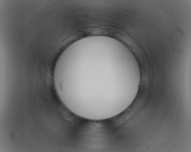 X0000114150469200910081116