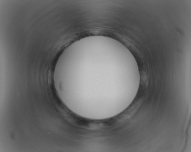 X0000114150470200910081116