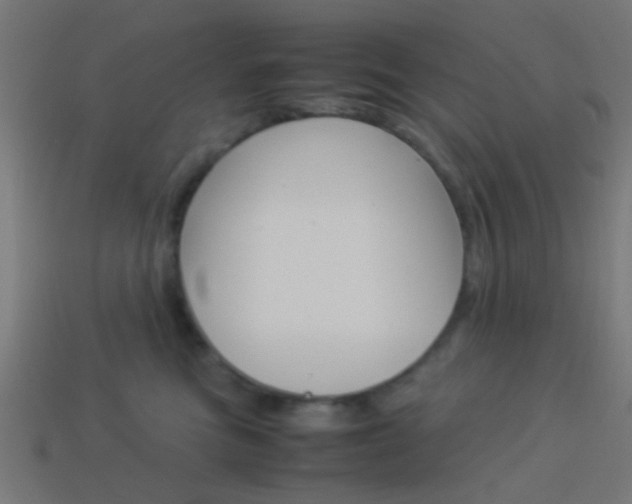 X0000114150473200910081116