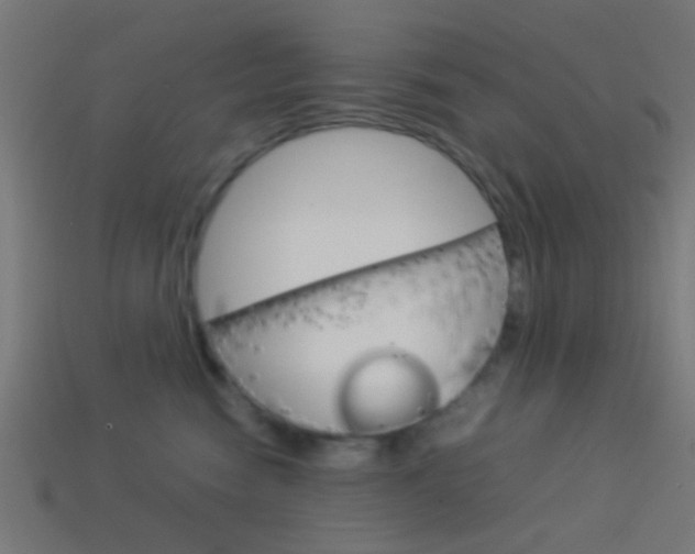 X0000114150474200910081116