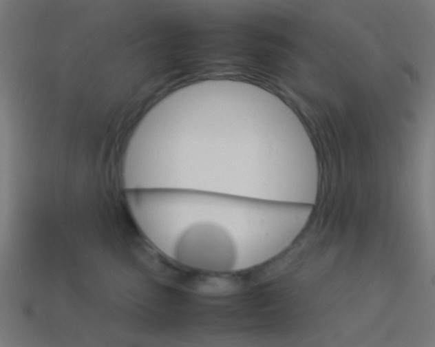 X0000114150475200910081116