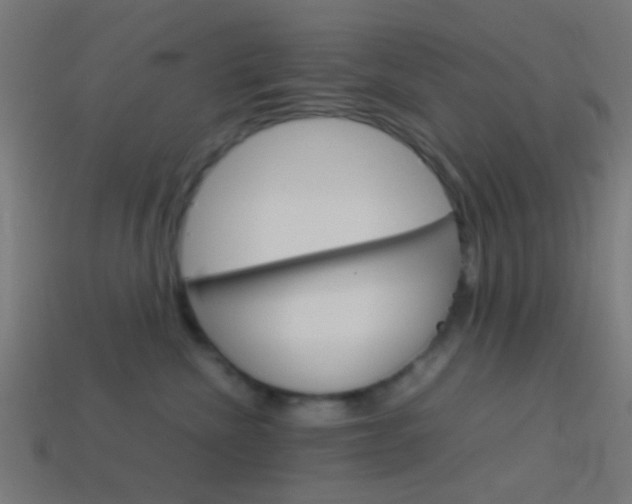 X0000114150476200910081116