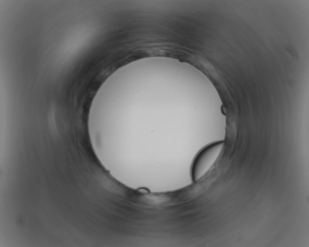 X0000114150477200910081116