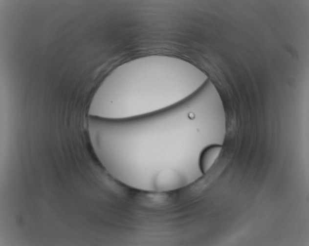 X0000114150478200910081116