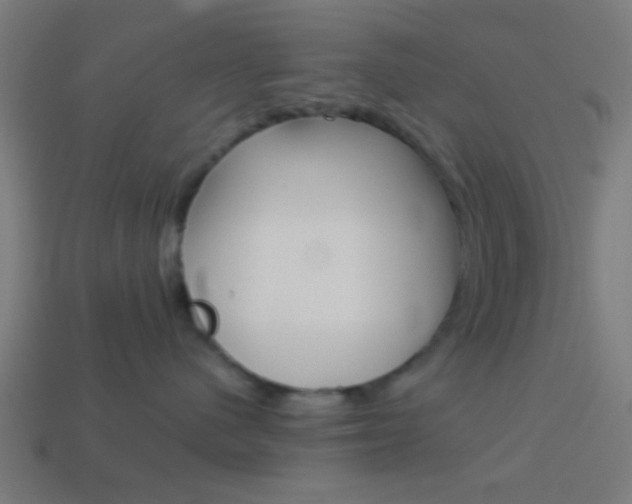 X0000114150480200910081116