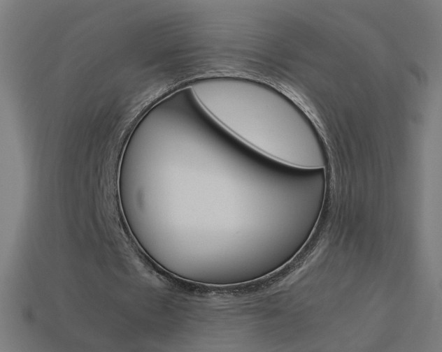 X0000114150481200910081116