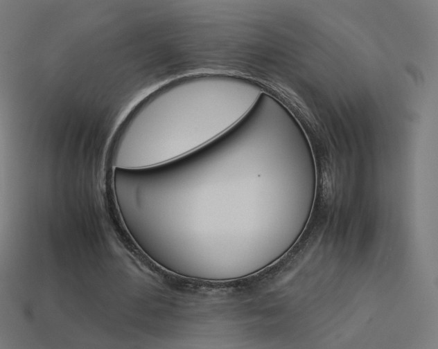 X0000114150484200910081116