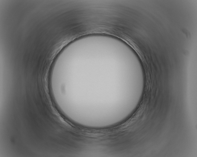 X0000114150485200910081116
