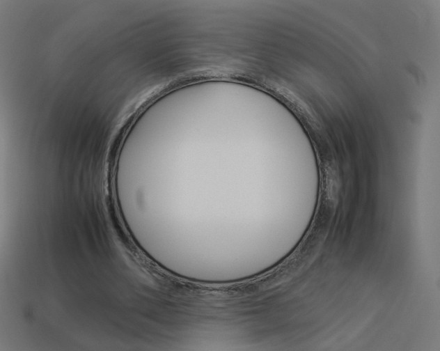 X0000114150486200910081116
