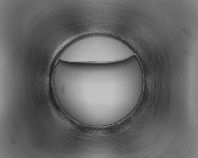 X0000114150488200910081116