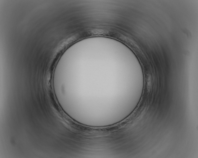 X0000114150490200910081115