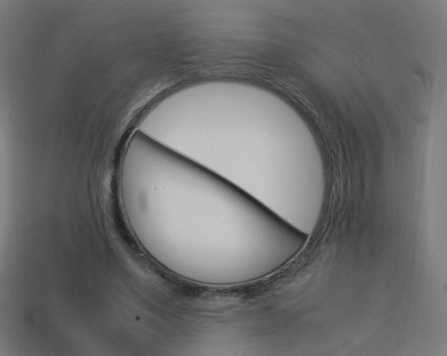 X0000114150491200910081115