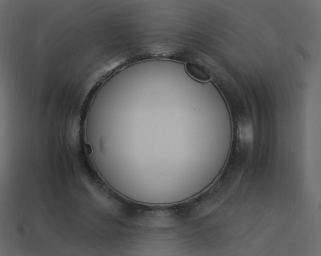X0000114150492200910081115