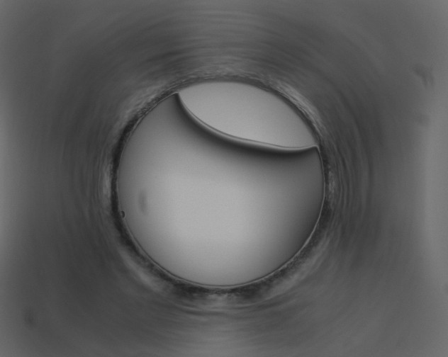 X0000114150493200910081115