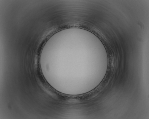 X0000114150494200910081115