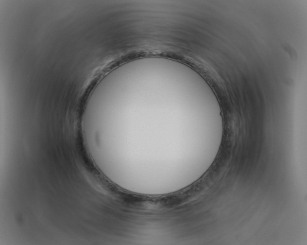 X0000114150496200910081115