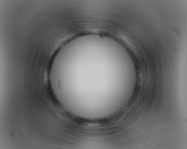 X0000114150500200910081115