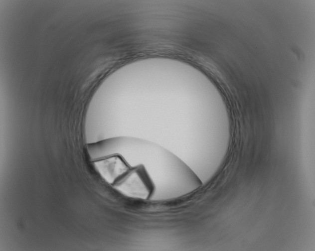 X0000114150501200910081115