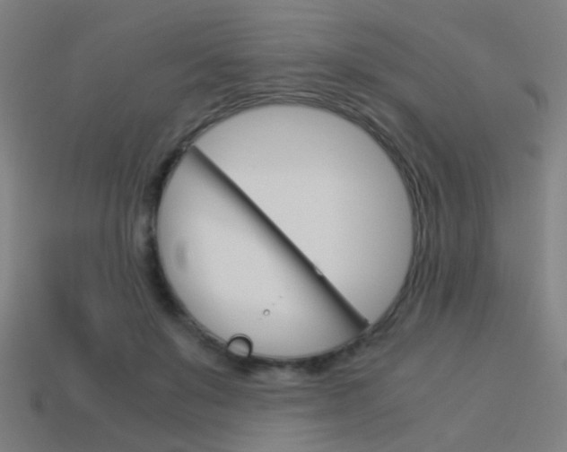 X0000114150503200910081115