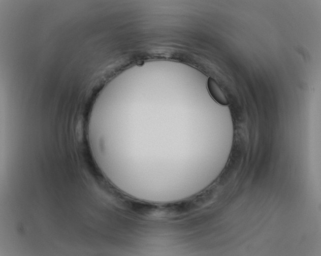 X0000114150504200910081115