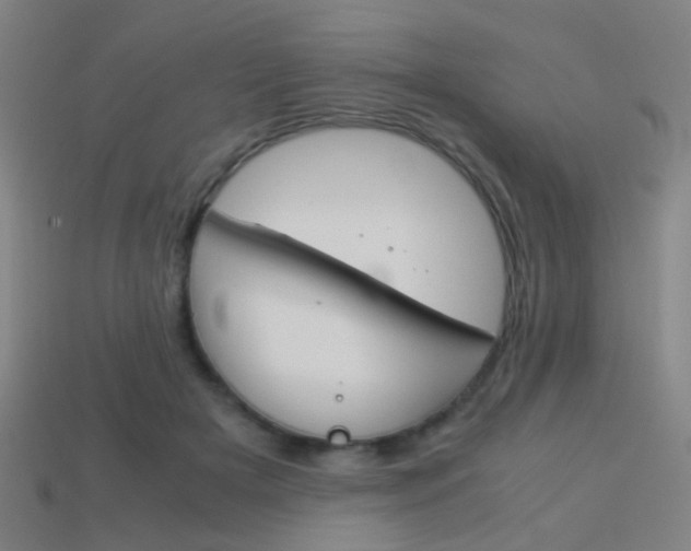 X0000114150505200910081115