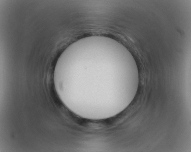 X0000114150515200910081115