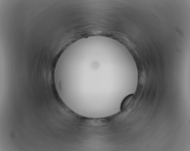 X0000114150524200910081115