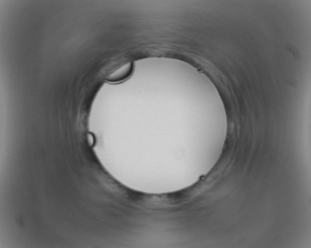 X0000114150525200910081115