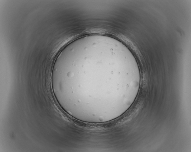 X0000114150529200910081114