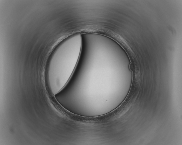 X0000114150530200910081114