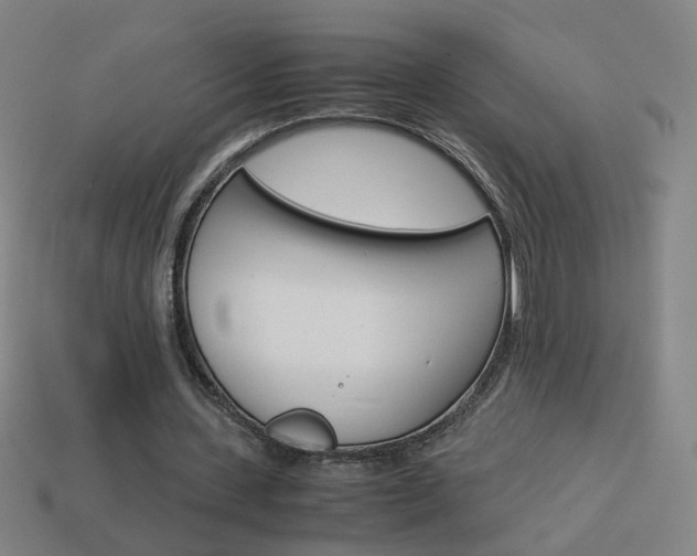 X0000114150531200910081114