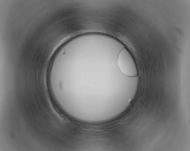 X0000114150534200910081114