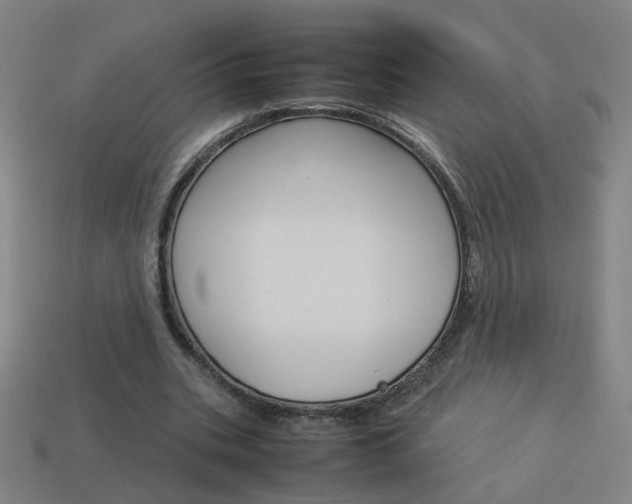 X0000114150535200910081114