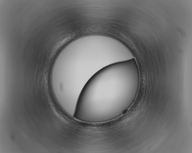 X0000114150538200910081115