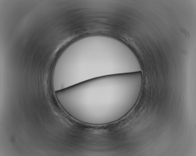 X0000114150539200910081115