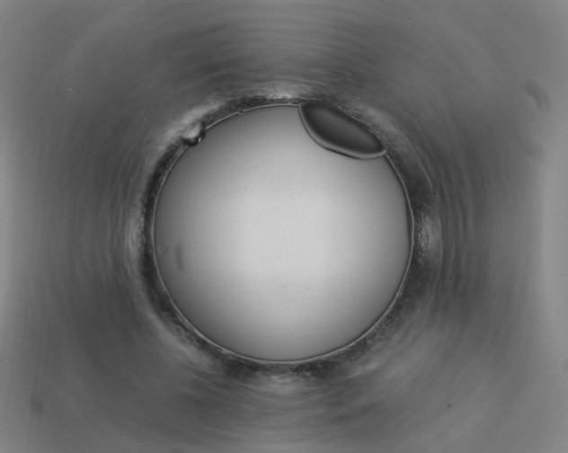 X0000114150540200910081115