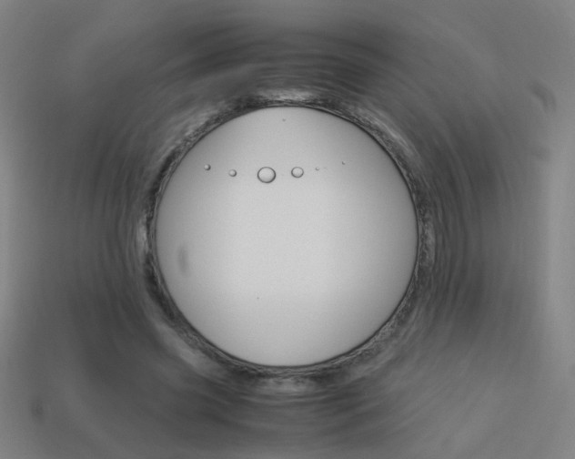 X0000114150541200910081115